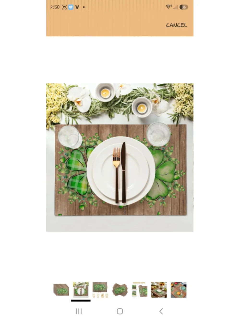 Shamrock St. Patrick's Day Placemats Set of 4, One Size, Brown and Green